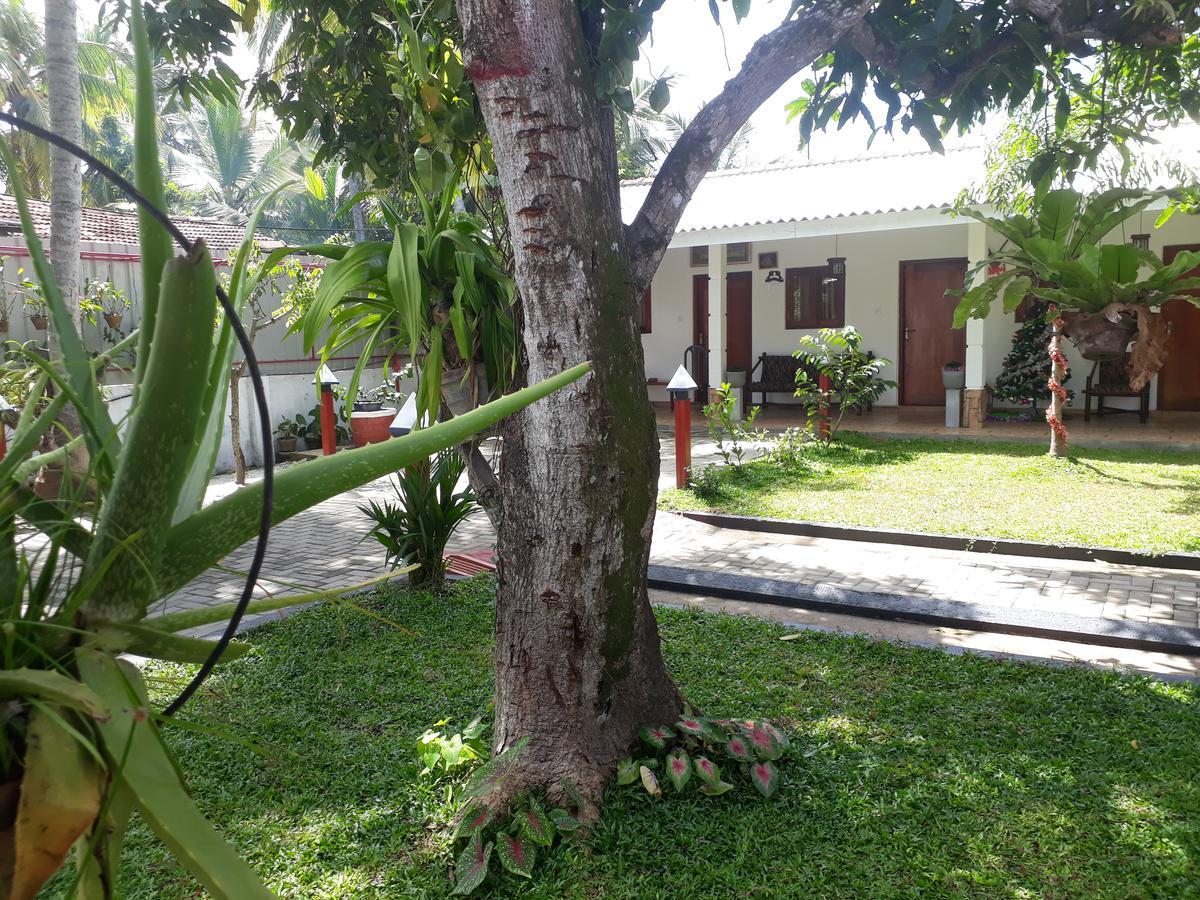 Villa 67 Negombo Buitenkant foto