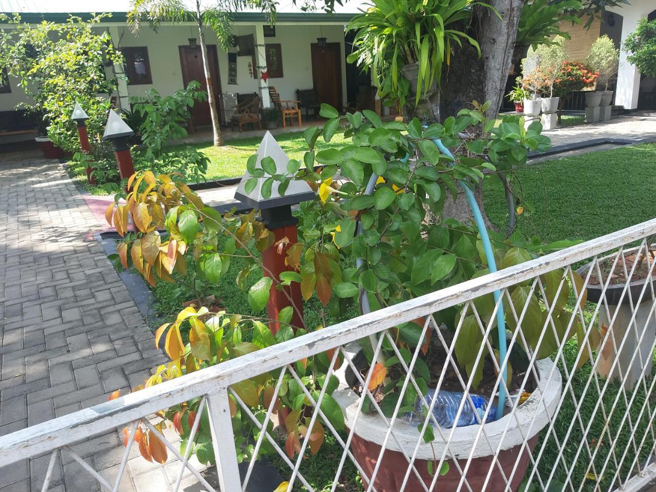 Villa 67 Negombo Buitenkant foto