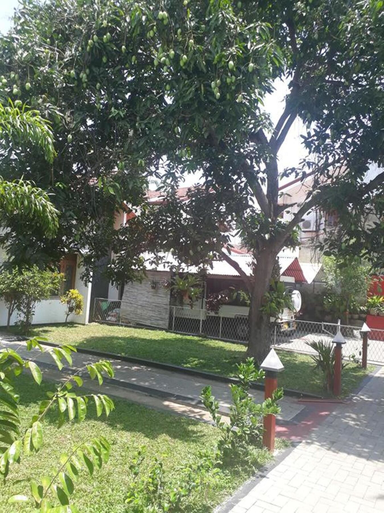 Villa 67 Negombo Buitenkant foto